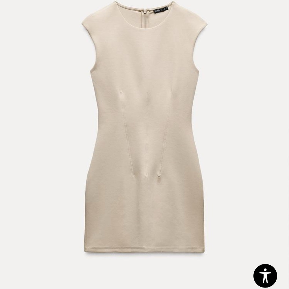 ZARA Interlocking Dress